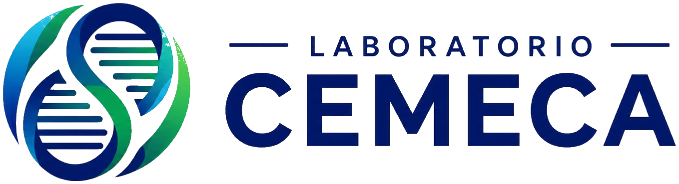 Laboratorio CEMECA